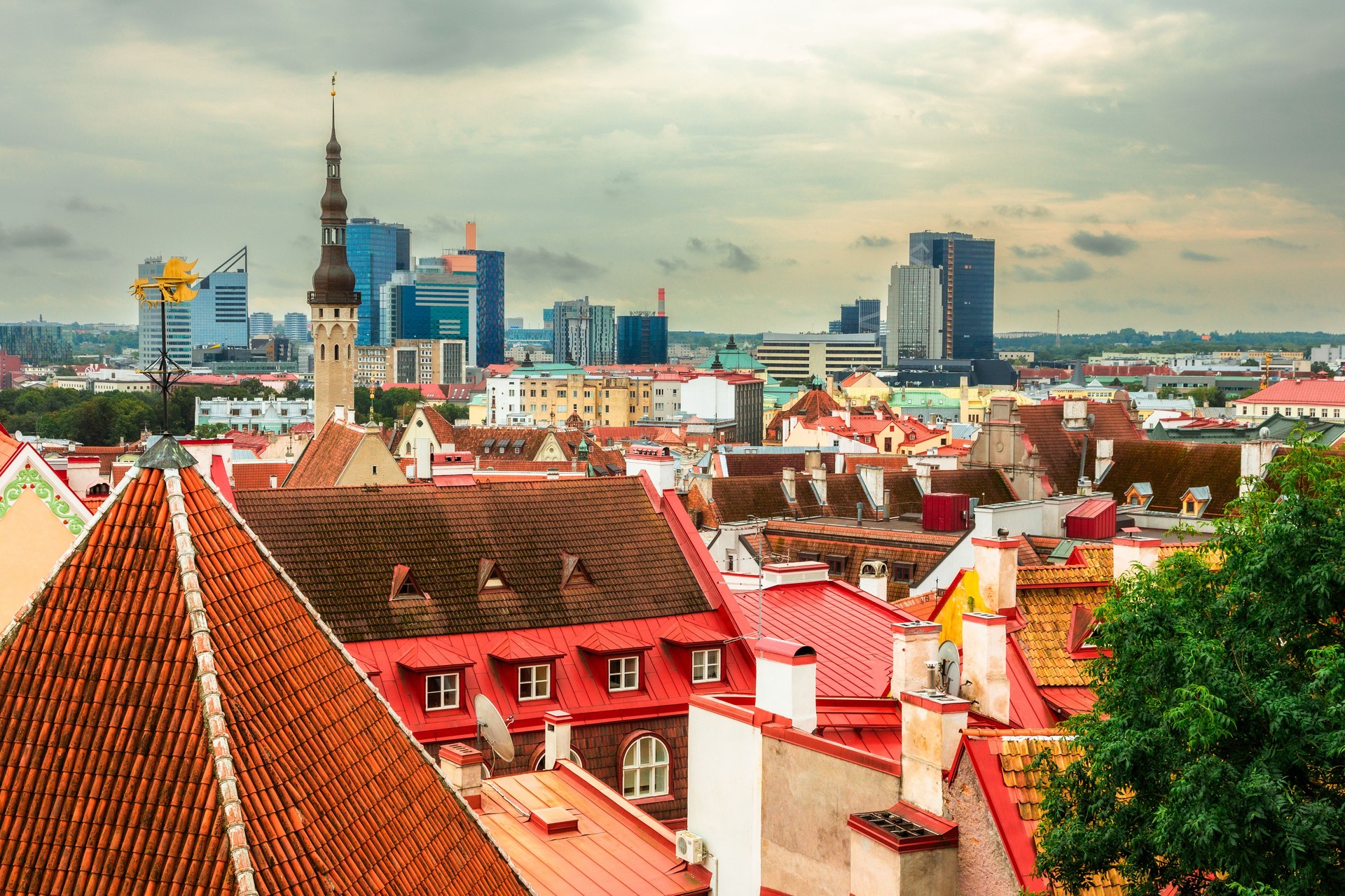 High angle view of old town city skyline of Tallinn, Estonia